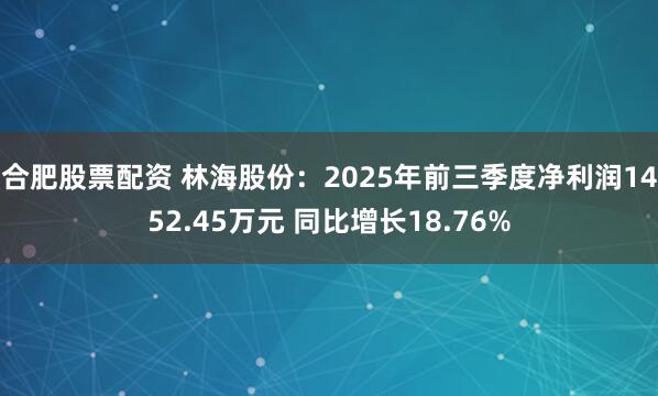 合肥股票配资 林海股份：2025年前三季度净利润1452.45万元 同比增长18.76%